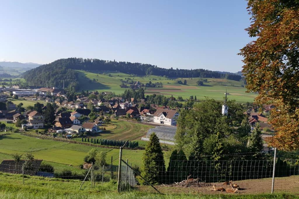 Brachbuhl Marie Huus Apartment Rohrbach ภายนอก รูปภาพ
